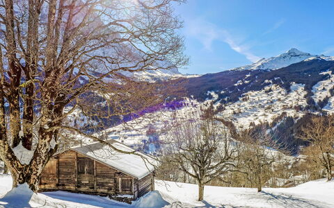 Chalet Hobelbank: Schnee, Winter, Ast, Natur, Bergforms, Berg, Natürliche Landschaft, Landschaft, Glazialmorphologie, Gebirge