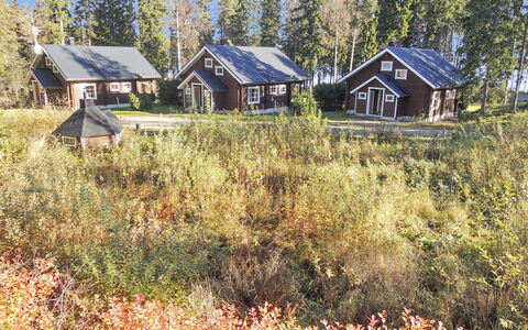Purnuranta B: Holz, Hütte, Blockhaus, Wald, Schuppen, Gartenbauten, Lärche, Wald, Holzbeize