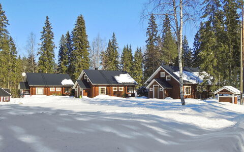 Purnuranta B: Holz, Hütte, Blockhaus, Wald, Schuppen, Gartenbauten, Lärche, Wald, Holzbeize