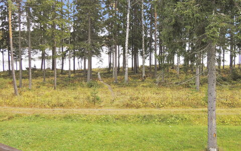 Purnuranta B: Holz, Hütte, Blockhaus, Wald, Schuppen, Gartenbauten, Lärche, Wald, Holzbeize