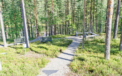 Otsopirtti, Otso: Holz, Hütte, Blockhaus, Wald, Schuppen, Gartenbauten, Lärche, Wald, Holzbeize