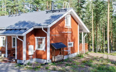 Otsopirtti, Otso: Holz, Hütte, Blockhaus, Wald, Schuppen, Gartenbauten, Lärche, Wald, Holzbeize