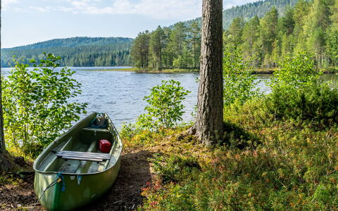 Hiisiranta B3: Holz, Hütte, Blockhaus, Wald, Schuppen, Gartenbauten, Lärche, Wald, Holzbeize
