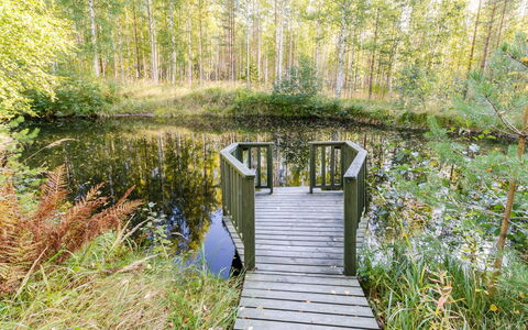 Käränkämökki: Holz, Hütte, Blockhaus, Wald, Schuppen, Gartenbauten, Lärche, Wald, Holzbeize