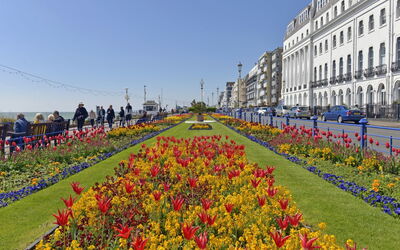 Pier View