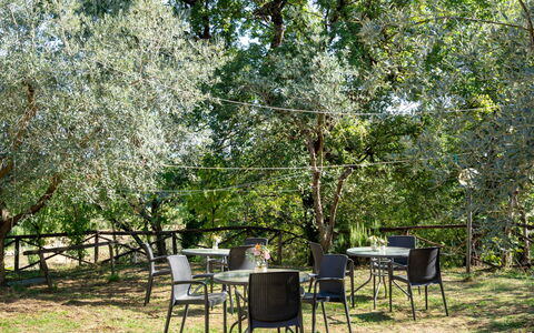 Poggio Cuccule: Pflanze, Tabelle, Pflanzengemeinschaft, Baum, Schatten, Natürliche Landschaft, Vegetation, Gartenmöbel, Gras, Gehölz