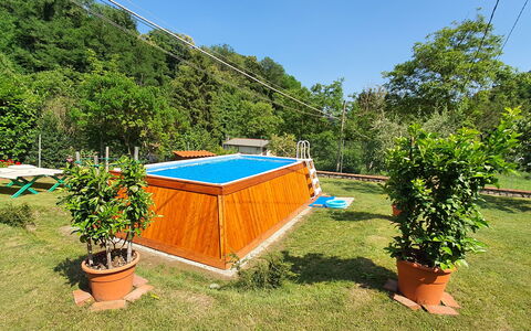 Casa Irene: Pflanze, Pflanzengemeinschaft, Himmel, Schatten, Gartenmöbel, Vegetation, Blumentopf, Schwimmbad, Baum, Gras