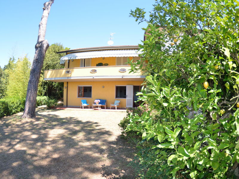 Il Corbezzolo