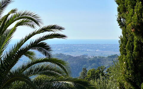 Borgo Bucatra Buonvento: Himmel, Natürliche Landschaft, Terrestrische Plant, Vegetation, Arecales, Baum, Landschaft, Pflanze, Palme, Wald