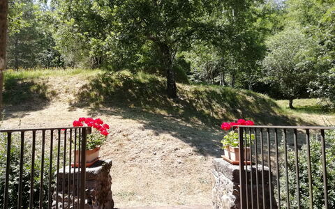 Vignoli: Natur, Vegetation, Baum, Eigentum, Garten, Botanik, Naturschutzgebiet, Frühling, Pflanze, Gras