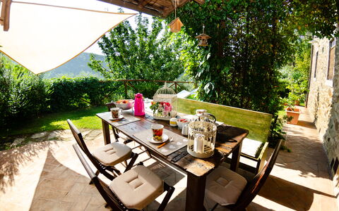 Podere L'istrice: Eigentum, Haus, Zimmer, Tabelle, Terrasse, Zuhause, Grundeigentum, Gebäude, Möbel, Hinterhof