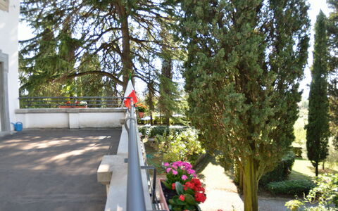 Villa Il Borghetto: Baum, Pflanze, Blume, Frühling, Die Architektur, Walkway, Park, Strauch