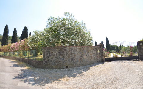 Villa Il Borghetto: Wand, Baum, Grundstueck, Fotografie, Steinwand, Geschichte, Landschaft, Historische Seite, Tourismus, Gebäude