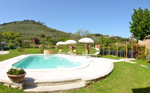 Al Vecchio Pozzo: Schwimmbad, Eigentum, Grundeigentum, Estate, Haus, Gras, Gebäude, Wohngebiet, Zuhause, Villa