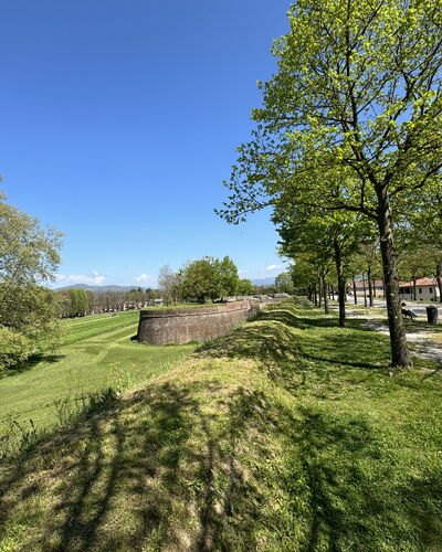 Alle Mura
