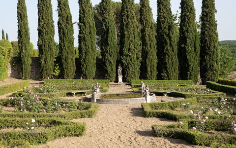 Terrazza e Libreria: Pflanze, Himmel, Wolke, Vegetation, Baum, Gras, Natürliche Landschaft, Hecke, Biome, Immergrün