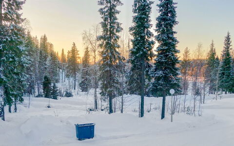 Ruka-Ihtinki 4 a 3: Schnee, Winter, Ast, Baum, Natürlichen Umgebung, Wald, Landschaft, Einfrieren, Frost