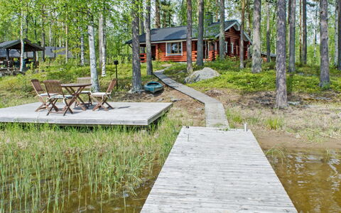 Haapaniemi, Cjoe020: Holz, Hütte, Blockhaus, Wald, Schuppen, Gartenbauten, Lärche, Wald, Holzbeize