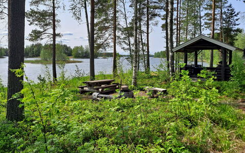 Haapaniemi, Cjoe020: Holz, Hütte, Blockhaus, Wald, Schuppen, Gartenbauten, Lärche, Wald, Holzbeize