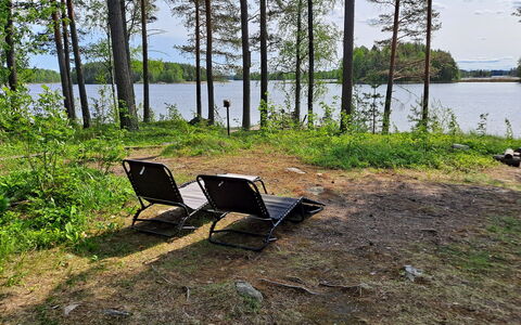 Haapaniemi, Cjoe020: Holz, Hütte, Blockhaus, Wald, Schuppen, Gartenbauten, Lärche, Wald, Holzbeize