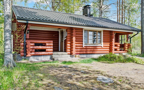 Haapaniemi, Cjoe020: Holz, Hütte, Blockhaus, Wald, Schuppen, Gartenbauten, Lärche, Wald, Holzbeize