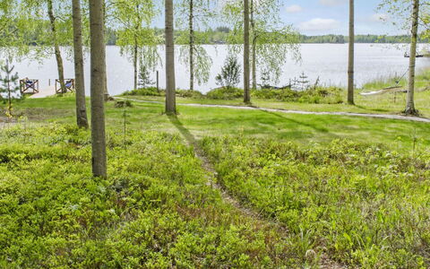 Honkaniemi: Holz, Hütte, Blockhaus, Wald, Schuppen, Gartenbauten, Lärche, Wald, Holzbeize
