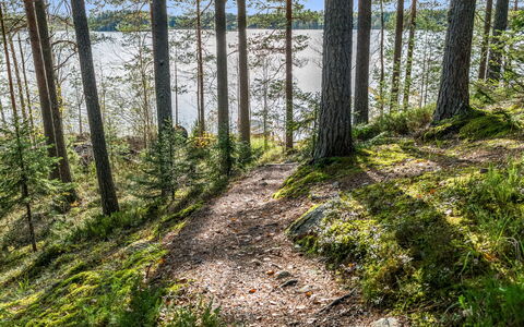 Kanerva: Möbel, Stuhl, Gartenmöbel, Tabelle, Holz, Tisch Im Freien, Küche & Esszimmer Tisch, Schatten, Garten, Regenschirm