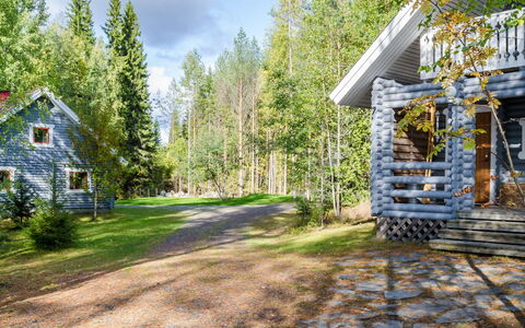 Kissankello: Baum, Haus, Hütte, Zuhause, Wald, Abstellgleis, Wald, Blockhaus, Gartenbauten, Lärche