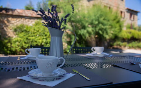 Villa i Cocciai: Tabelle, Tasse, Drinkware, Baum, Geschirr, Kaffeetasse, Pflanze, Servierware, Tischdecke, Teetasse