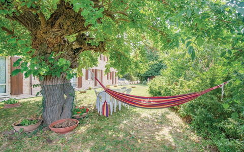 Ca Maggetti: Natur, Baum, Grün, Vegetation, Natürliche Landschaft, Botanik, Blatt, Gehölz, Pflanze