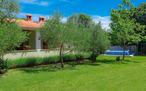 Corina: Pflanze, Wolke, Himmel, Baum, Natürliche Landschaft, Gebäude, Grundstueck, Gras, Wohngebiet, Strauch