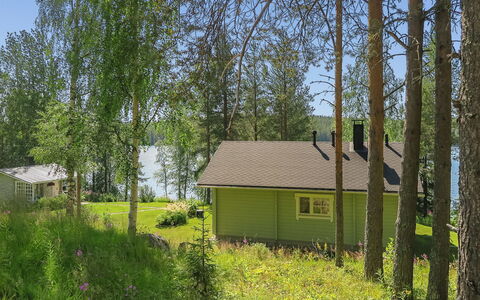 Sipukka: Holz, Hütte, Blockhaus, Wald, Schuppen, Gartenbauten, Lärche, Wald, Holzbeize