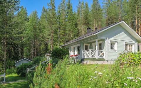 Sipukka: Holz, Hütte, Blockhaus, Wald, Schuppen, Gartenbauten, Lärche, Wald, Holzbeize