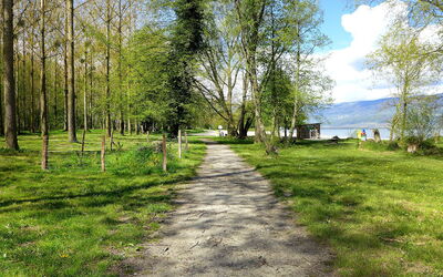 Chemin de la Plage - Mordagne, Waadt, Schweiz