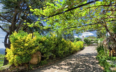 B&b Verde Liguria