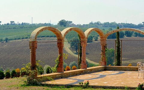 Luna Di Cortona: Bogen, Die Architektur, Baum, Gras, Brücke, Grundstueck, Landschaft, Bogenbrücke, Pflanze, Strasse