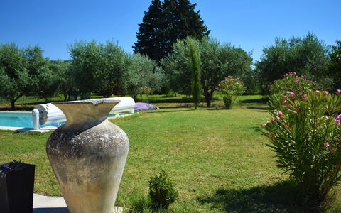 L'Oliveraie: Garten, Baum, Gras, Botanik, Skulptur, Graspflanze, Strauch, Pflanze, Blumentopf, Landscaping