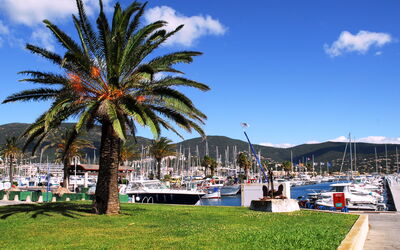 Cavalaire 355