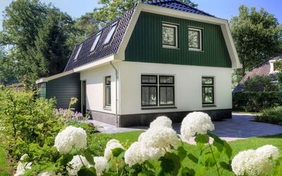 10 Personen 208.3: Haus, Zuhause, Eigentum, Hütte, Gebäude, Grundeigentum, Bauernhaus, Pflanze, Hortensie, Strauch