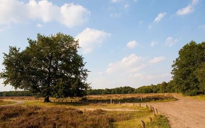 Lunteren 104