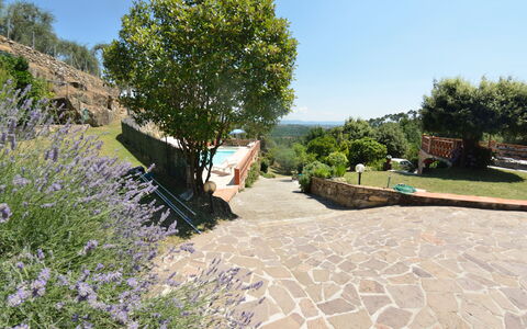 Agli Olivi: Eigentum, Garten, Baum, Botanik, Grundeigentum, Landschaft, Walkway, Landscaping, Pflanze, Haus