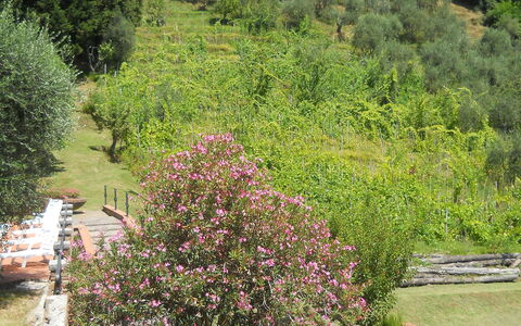 Aurora: Vegetation, Garten, Baum, Botanischer Garten, Botanik, Pflanze, Strauch, Pflanzengemeinschaft, Landschaft, Blume