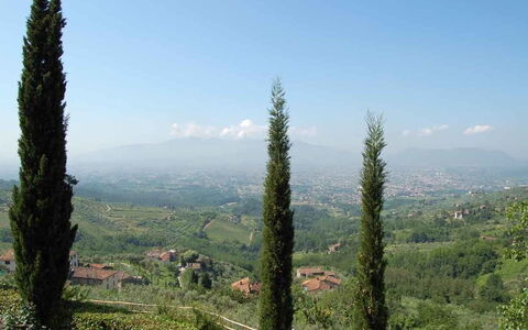 Borgo Antico Marina: Baum, Bergstation, Vegetation, Tropische Und Subtropische Koniferenwald, Wildnis, Biome, Pflanze, Pflanzengemeinschaft, Wald, Berg