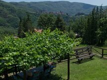 Le Panche