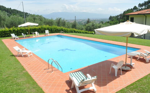 Villa Vaniglia Proprietà: Schwimmbad, Eigentum, Gras, Freizeit, Grundeigentum, Haus, Schatten, Rechteck, Gebäude, Villa