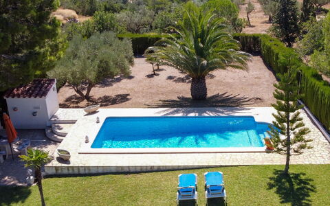 Reny: Schwimmbad, Eigentum, Gras, Haus, Villa, Grundeigentum, Baum, Resort, Gebäude, Palme