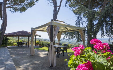 Giglio: Gazebo, Überdachung, Pavillon, Pergola, Blume, Frühling, Schatten, Pflanze, Outdoor Struktur, Baum