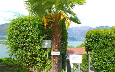 San Nazzaro 25