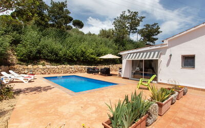 Green - Blanes, Katalonien, Spanien