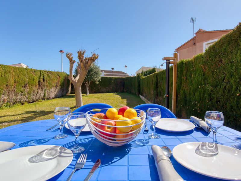 Campo Olivar